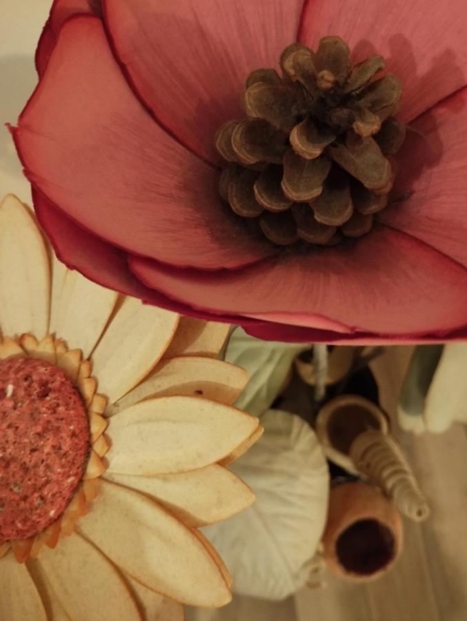 A Casa Di Esther ボローニャ エクステリア 写真